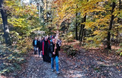 Zdjęcie przedstawia drogę do Liwocza.